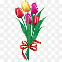 多彩郁金香-空若网 多彩郁金香-空若网