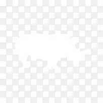 联合国大学计算机与社会学会电子邮件商业信息-吸血鬼-空若网 联合国大学计算机与社会学会电子邮件商业信息-吸血鬼-空若网