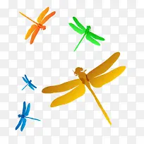 彩色蜻蜓-空若网 彩色蜻蜓-空若网