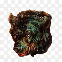 陆生动物生物-北极熊-空若网 陆生动物生物-北极熊-空若网