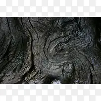 树木纹理背景-空若网 树木纹理背景-空若网