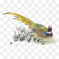 水彩中国风吉祥鸟-空若网 水彩中国风吉祥鸟-空若网