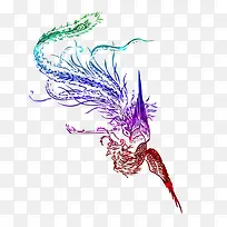 ��ɫ���-������