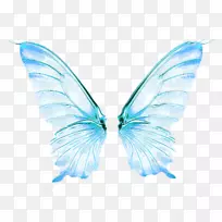 �����������ֽ-���-������