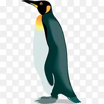 墨绿色的卡通企鹅-空若网 墨绿色的卡通企鹅-空若网