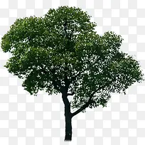 ī��ɫ����������-������