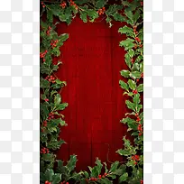 ʥ���ڱ����߿�-������