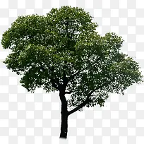 墨绿色创意高清合成摄影-空若网 墨绿色创意高清合成摄影-空若网