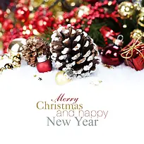 Ê¥µ®½Ú±³¾°µ×ÎÆ-¿ÕÈôÍø Ê¥µ®½Ú±³¾°µ×ÎÆ-¿ÕÈôÍø