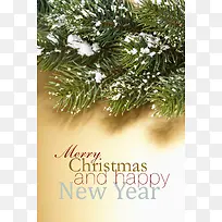 ʥ���ڱ�������-������