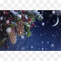 ʥ���ڱ���-������