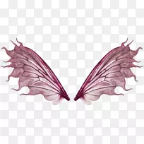 小叮当蝴蝶仙女翅膀-空若网 小叮当蝴蝶仙女翅膀-空若网