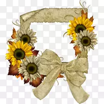 普通向日葵画框剪贴画.向日葵-空若网 普通向日葵画框剪贴画.向日葵-空若网