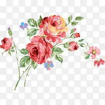 Êֻ溫¹ú»¨»ÜË®²Ê»-¿ÕÈôÍø Êֻ溫¹ú»¨»ÜË®²Ê»-¿ÕÈôÍø