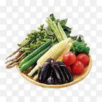 蔬菜茄子-空若网 蔬菜茄子-空若网
