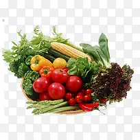 玉米番茄青红椒蔬菜-空若网 玉米番茄青红椒蔬菜-空若网