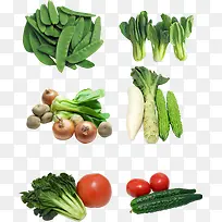 蔬菜-空若网 蔬菜-空若网