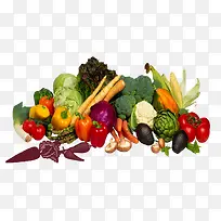 �߲˶��ܲ����Ѳ˽�-������