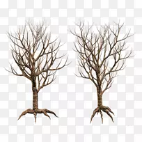 树枝、木材艺术分享-空若网 树枝、木材艺术分享-空若网