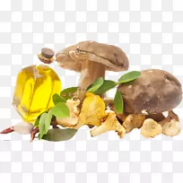 奶油面食拉索尼克油菇-空若网 奶油面食拉索尼克油菇-空若网