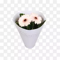 切花:十字花科雏菊花盆-非洲菊-空若网 切花:十字花科雏菊花盆-非洲菊-空若网