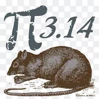 PI�������ѧ-���������-������