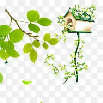 Ê÷Ö¦-¿ÕÈôÍø Ê÷Ö¦-¿ÕÈôÍø