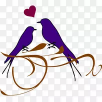 爱鸟剪贴画-婚庆PNG照片-空若网 爱鸟剪贴画-婚庆PNG照片-空若网