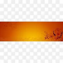 ���Ů�Ա���ͼ-������