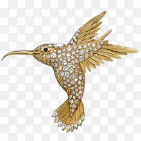 翠鸟镶钻-空若网 翠鸟镶钻-空若网