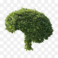 爬山虎灌满的树-空若网 爬山虎灌满的树-空若网