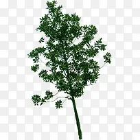 蓝天绿树美景效果-空若网 蓝天绿树美景效果-空若网