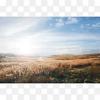 蓝天白云芦苇荡高清摄影-空若网 蓝天白云芦苇荡高清摄影-空若网