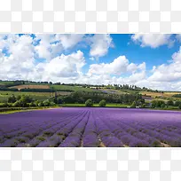 ��������̲�޹�²���-������