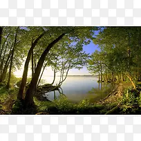 À¶ÌìϵÄÂÌÉ«´óÊ÷-¿ÕÈôÍø À¶ÌìϵÄÂÌÉ«´óÊ÷-¿ÕÈôÍø