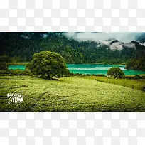 ���ƺ��������ݵ�-������