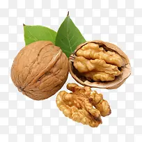 ʳ�����-������