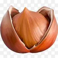 手绘坚果-空若网 手绘坚果-空若网