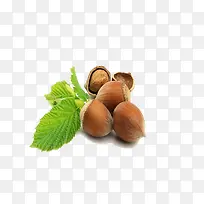 板栗-空若网 板栗-空若网