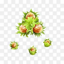 板栗-空若网 板栗-空若网