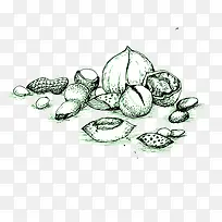 手绘坚果-空若网 手绘坚果-空若网