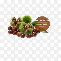 ����-������