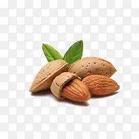 ʳ����-������