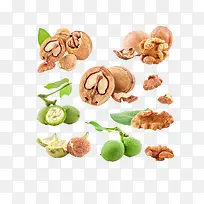 核桃-空若网 核桃-空若网