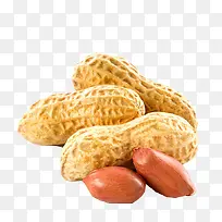 花生-空若网 花生-空若网