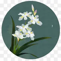 水彩鲜花-空若网 水彩鲜花-空若网