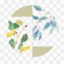 水彩鲜花-空若网 水彩鲜花-空若网