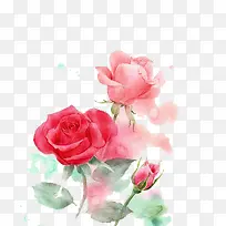水彩鲜花-空若网 水彩鲜花-空若网