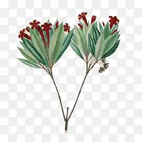 水彩鲜花-空若网 水彩鲜花-空若网