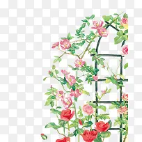 手绘鲜花-空若网 手绘鲜花-空若网